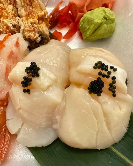 Japanese Scallop.