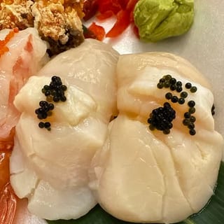 Japanese Scallop
